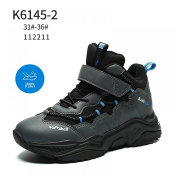 6145-2 BAAS (31-36) 8п