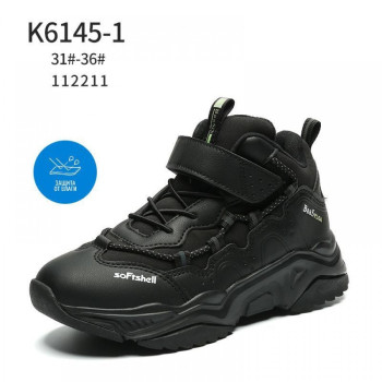 6145-1 BAAS (31-36) 8п