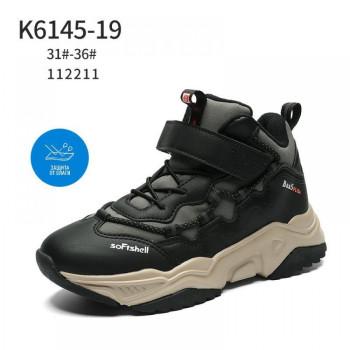 6145-19 BAAS (31-36) 8п