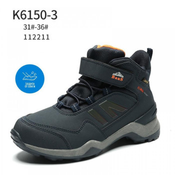 6150-3 BAAS (31-36) 8п